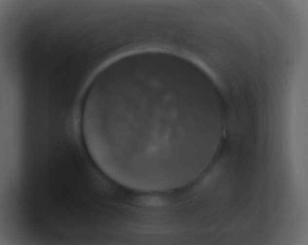 X0000100941508200807081223