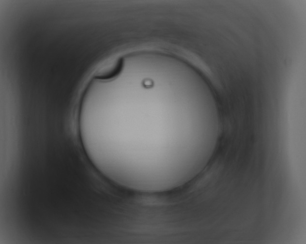 X0000100941512200807081223