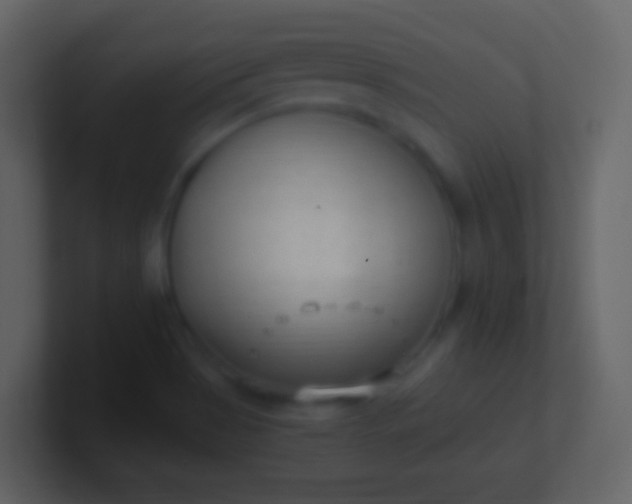 X0000100941513200807081223