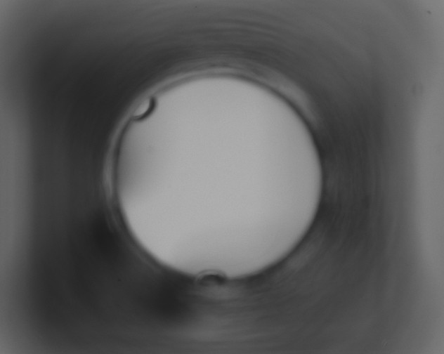 X0000100941516200807081223