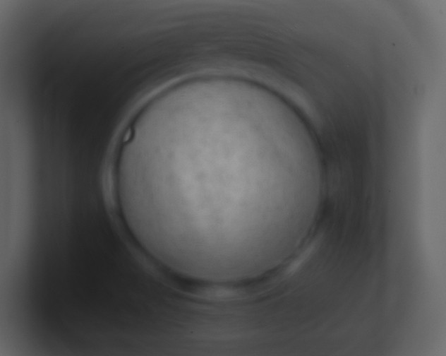 X0000100941517200807081223