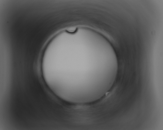 X0000100941518200807081223