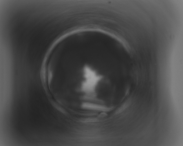 X0000100941519200807081223