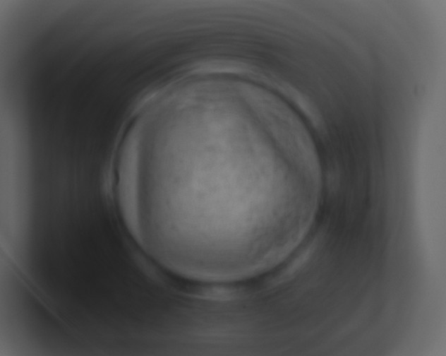 X0000100941521200807081223