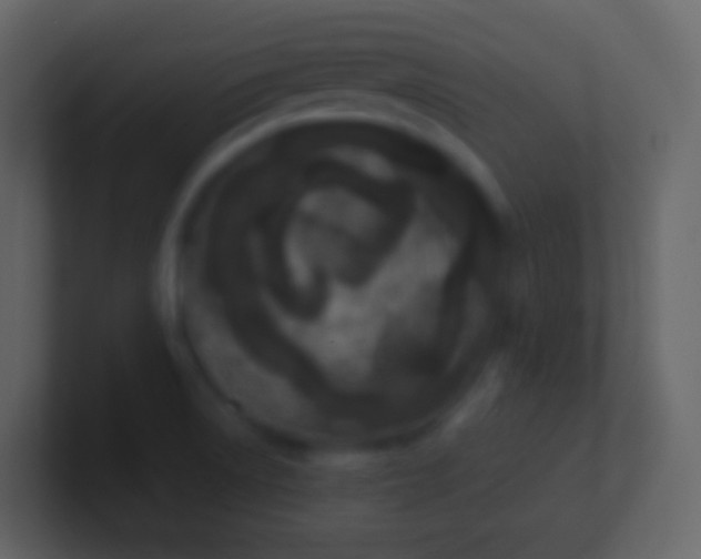 X0000100941522200807081223