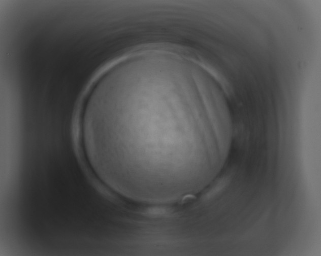 X0000100941523200807081223