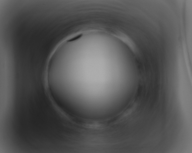 X0000100941524200807081223