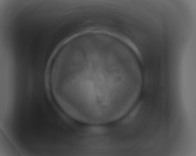 X0000100941525200807081223