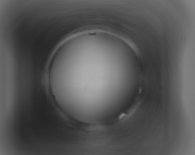 X0000100941526200807081223