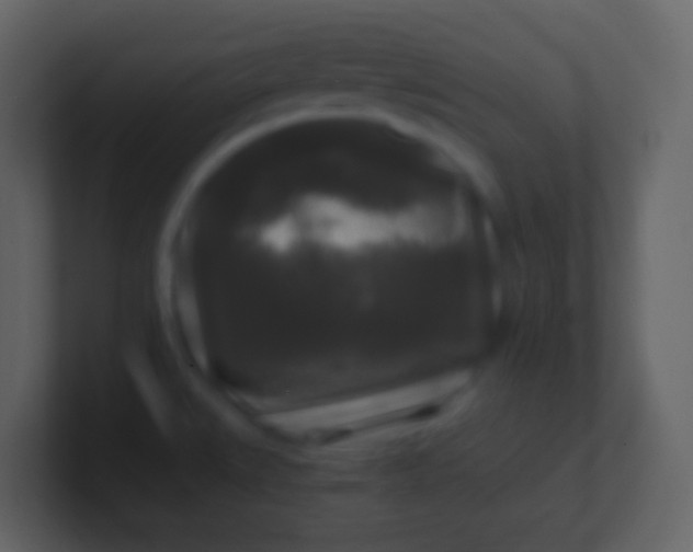 X0000100941527200807081223