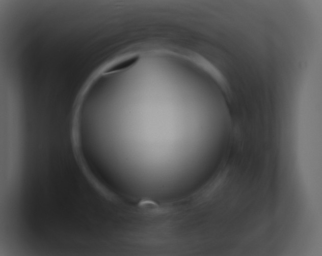 X0000100941528200807081223