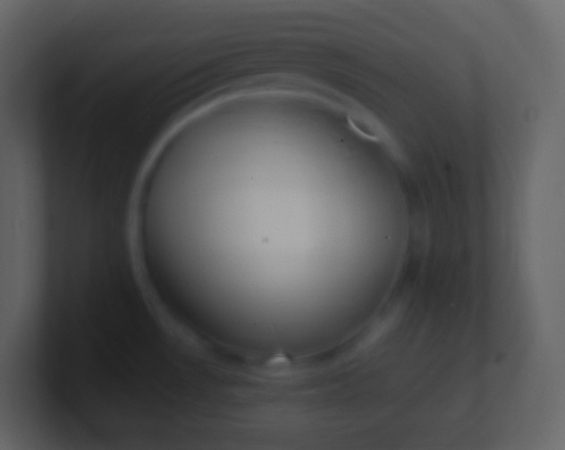 X0000100941530200807081223