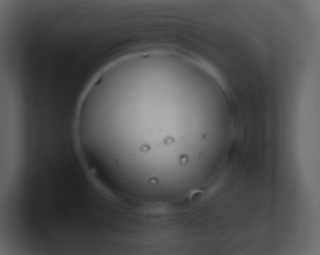 X0000100941532200807081224