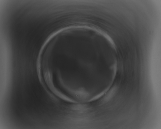 X0000100941533200807081224