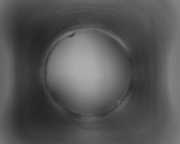 X0000100941534200807081224