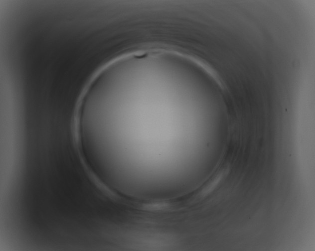 X0000100941535200807081224