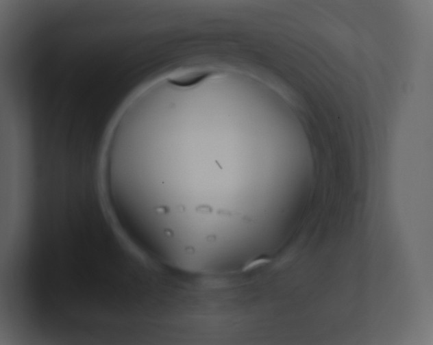 X0000100941536200807081224