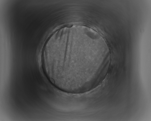 X0000100940002200807151316