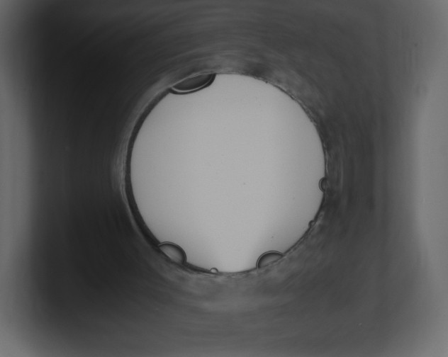 X0000100940003200807151316