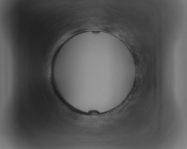 X0000100940005200807151316