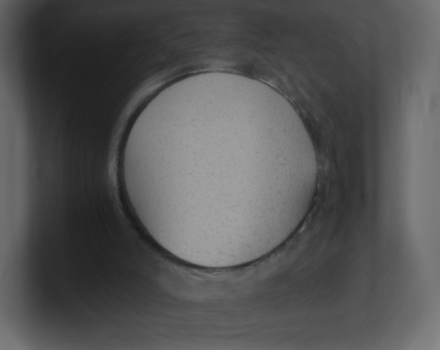 X0000100940006200807151316