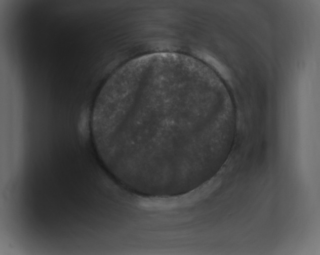 X0000100940009200807151316