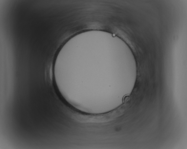 X0000100940011200807151316