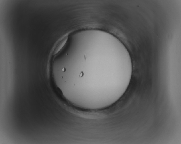 X0000100940012200807151316