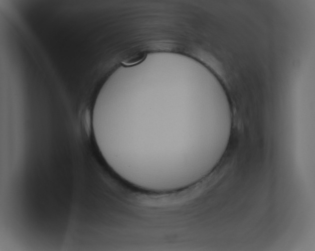 X0000100940013200807151316