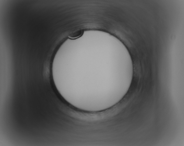 X0000100940015200807151316