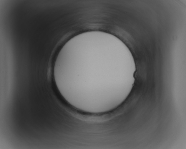 X0000100940016200807151316