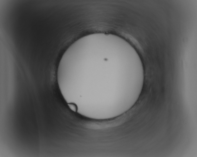 X0000100940017200807151316