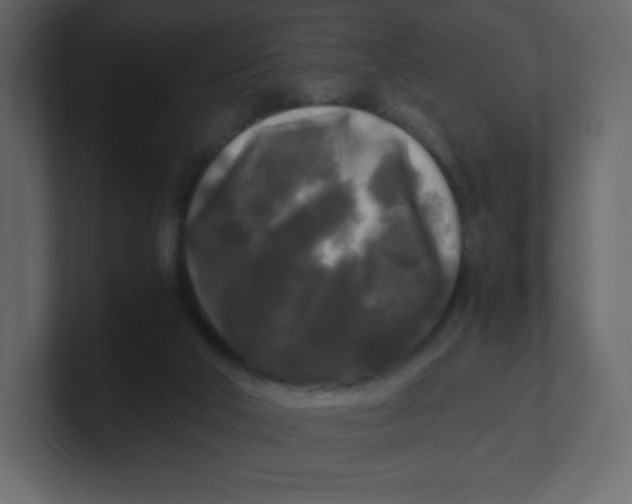 X0000100940018200807151316