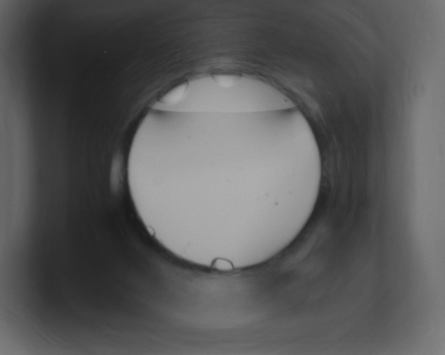 X0000100940024200807151316