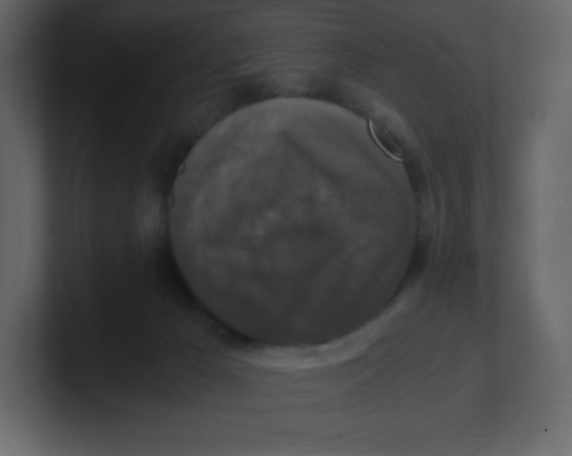 X0000100940029200807151316