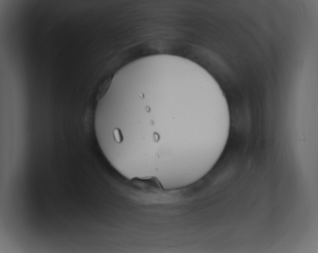 X0000100940036200807151316