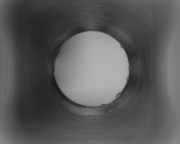 X0000100940044200807151315