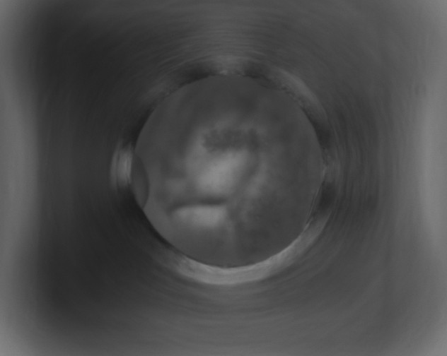 X0000100940047200807151315