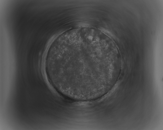 X0000100940049200807151315