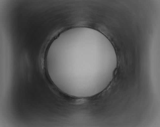 X0000100940050200807151315