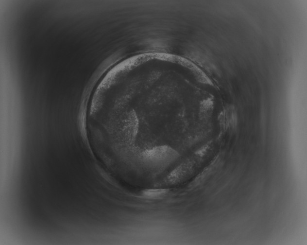 X0000100940051200807151315