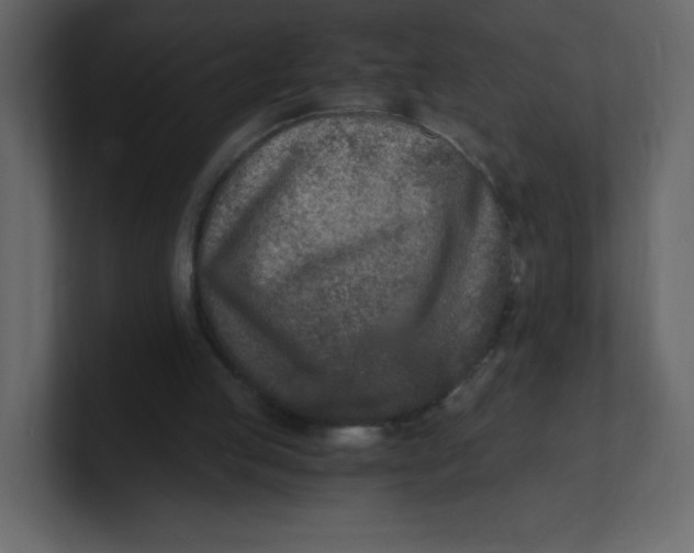 X0000100940053200807151315