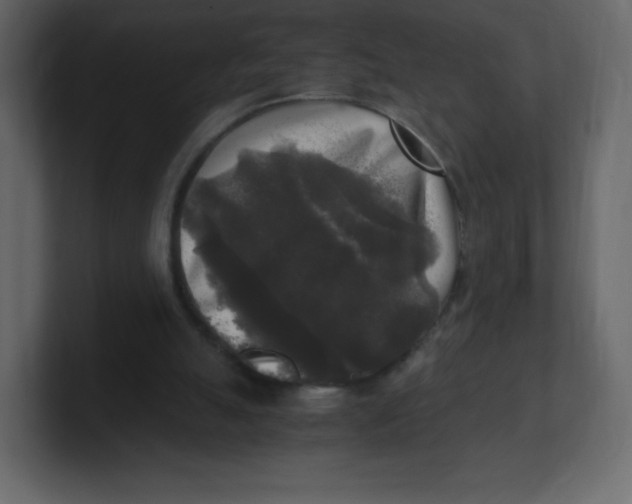 X0000100940055200807151315