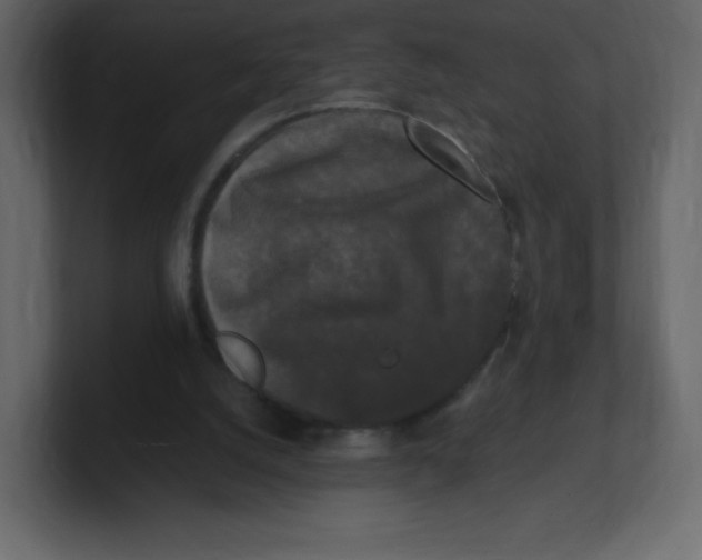 X0000100940056200807151315