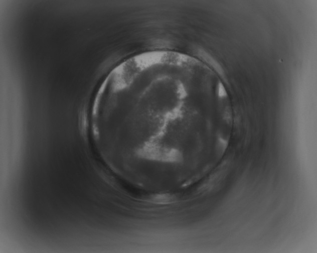 X0000100940059200807151315