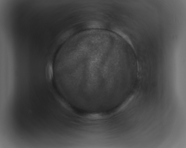 X0000100940061200807151315