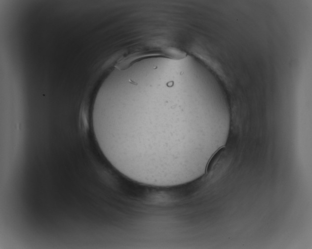 X0000100940062200807151315