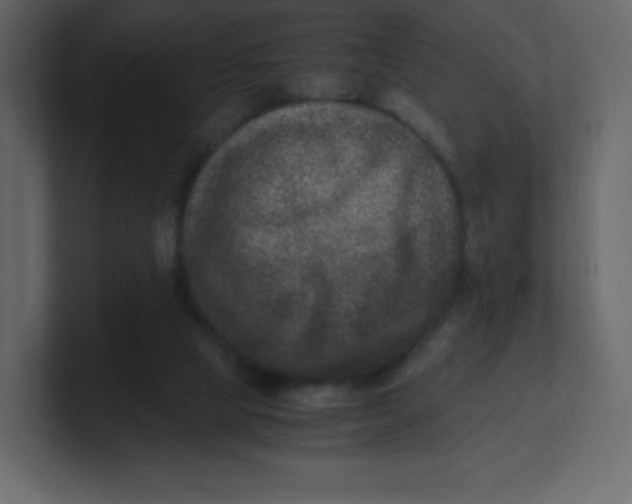 X0000100940065200807151315