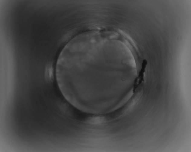 X0000100940067200807151315