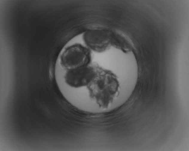 X0000100940069200807151315